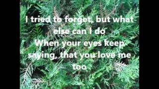 Don't let me cross over Love's Cheating Line by Jim Reeves and Deborah Allen with lyrics