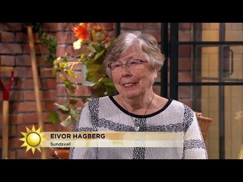 Trisskraparens dröm går i uppfyllelse - Nyhetsmorgon (TV4)