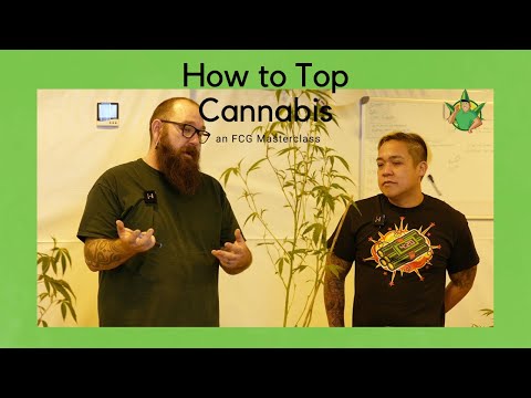 FCG Masterclass Ep  2 - How to Defoliate, Top, and Fim