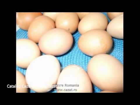 Cazare Blidari, Maramures - Cazat.ro