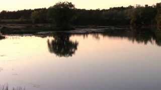 &quot;Tell Your Mama&quot; performed by  Norah Jones