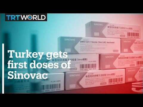 Turkey gets its first Covid-19 vaccines from China