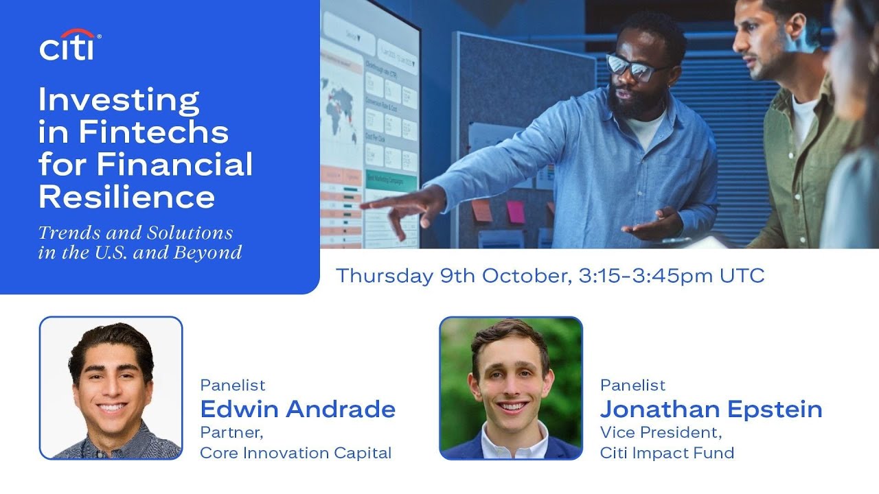 Investing in Fintechs for Financial Resilience: Trends and Solutions in the U.S. and Beyond