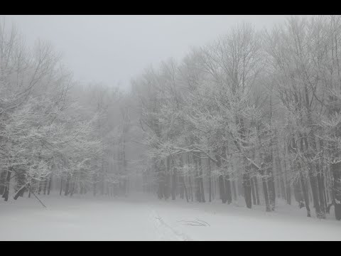 Vihorlat v zime (Vihorlatské vrchy) 4K