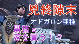 【第11話】モンスターハンターワールドアイスボーンを4人くらいで気ままに実況【MHW：IB】