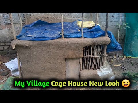 My Village Cage House New Look 😍 I Pets Vlog