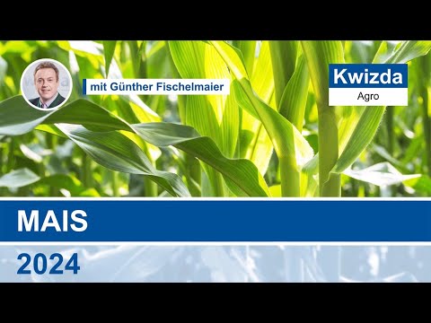 Kwizda Agro Pflanzenschutz im Mais 2024 - Günther Fischelmaier