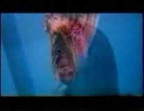 Luiza Possi - Dias Iguais (Clipe Oficial)