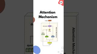 How transformer-based models in NLP adapt to diverse languages and domains? #datascience #ai #nlp