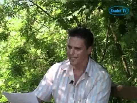 Egészségpercek 5. rész: B vitaminok (1/2)