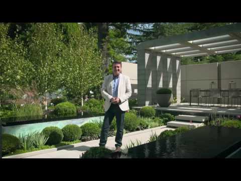 The Garden Gurus - Himalayan Bich (Betula utilis var jacquemontii)