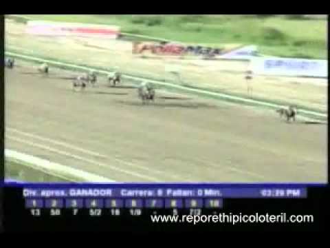 Resumen Domingo 13 de Noviembre de 2011 - La Rinconada