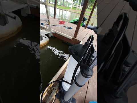 Oil Change for 175 Mercury Verado 4 cylinder in water