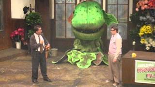 Mushnik &amp; Son - Little Shop of Horrors