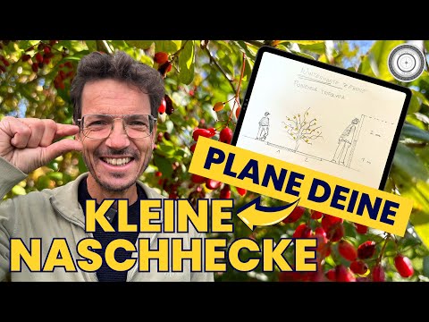 Die kleine NASCHHECKE - SUPER LECKER! 🍈