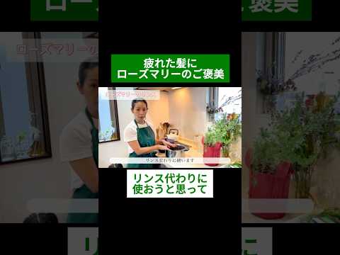 医療ビジネス薬科学科 🌿疲れた髪にローズマリーのご褒美🌿#shorts #ハーブ #体質改善 #ローズマリー