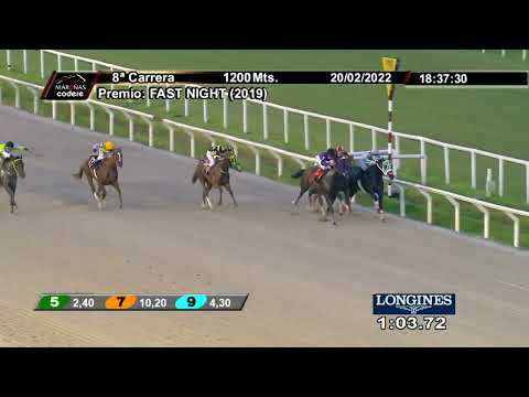 220220 c08 MAGIC AVENUE