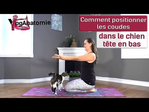YogAnatomie : comment positionner les coudes dans le chien tête en bas (261/365)