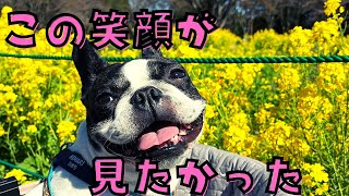 愛犬と昭和記念公園でリフレッシュ！