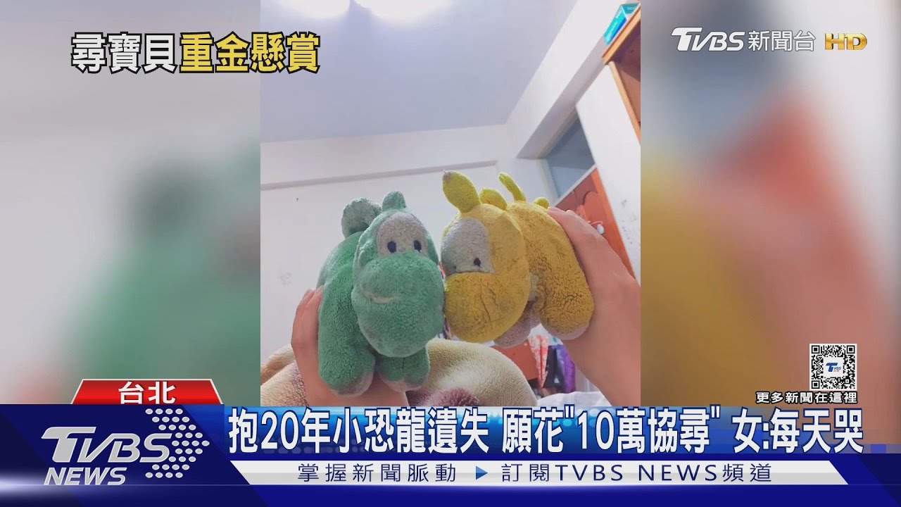 抱20年小恐龍遺失願花「10萬協尋」 女:每天哭