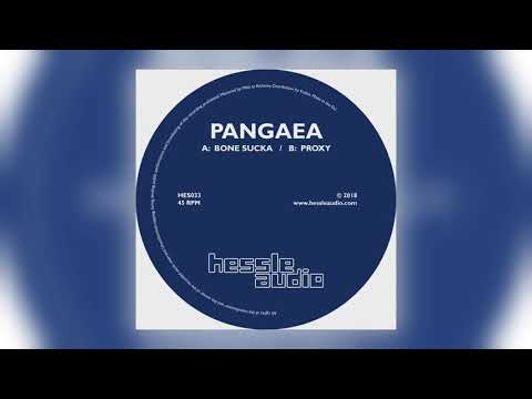 Pangaea - Bone Sucka [Hessle Audio]