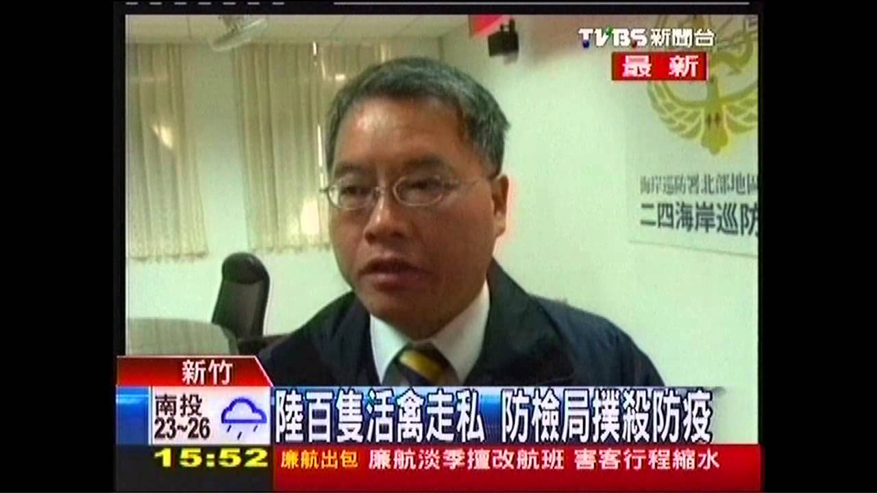 陸百隻活禽走私 防檢局撲殺防疫