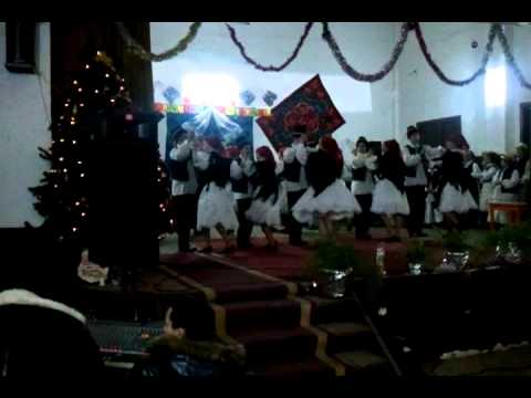 ansamblu padureanca din chisindia