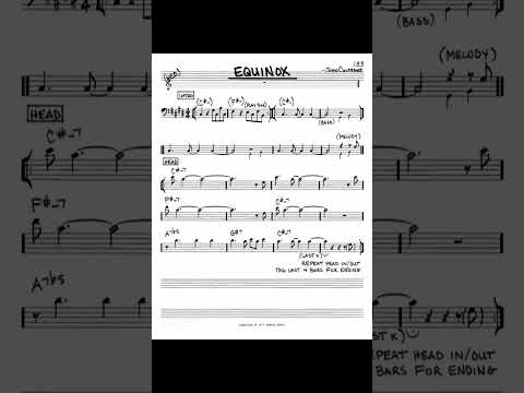 Equinox C#  - LOOOOOONG Backing track