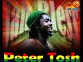 Peter Tosh - Peace Treaty