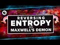 Reversing Entropy with Maxwell's Demon