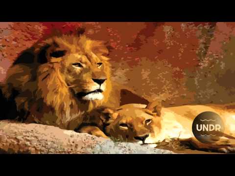 Soul Button ft Stee Downes - In My Stride