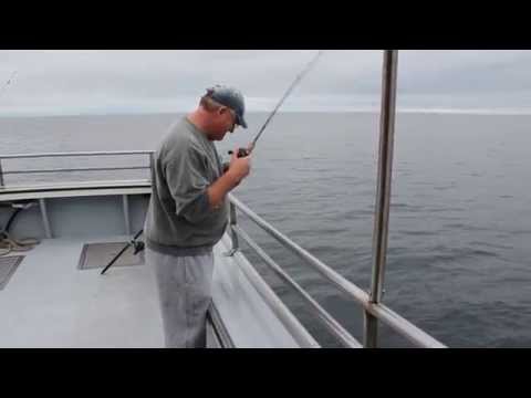 mackerel fishing