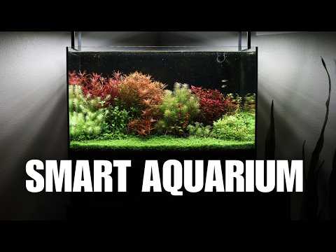 AUTOMATIC AQUARIUM SETUP - A STEP BY STEP TUTORIAL