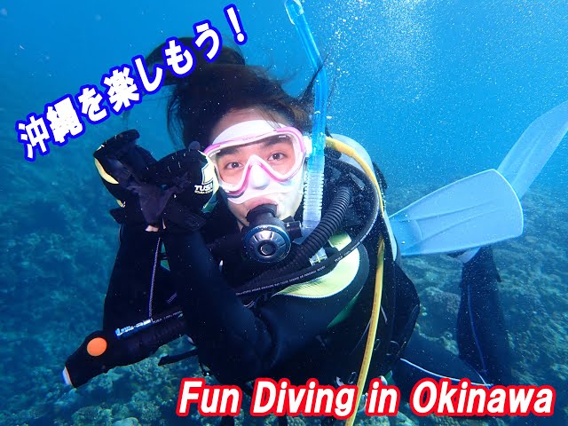 沖縄ダイビングライセンス フリースタイル