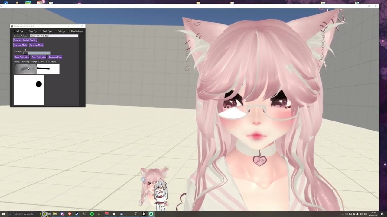 Eye tracking on quest pcvr | EyeTrackVR