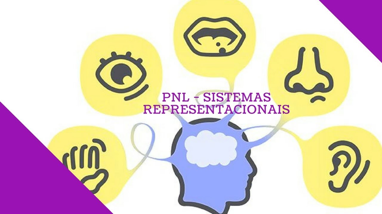 PNL Parte 5: Sistemas Representacionais