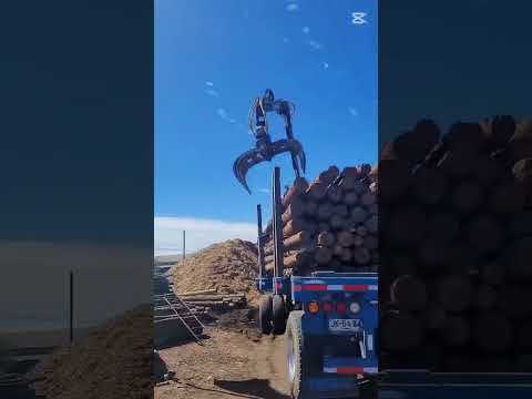 Postes Río Maule, Tus Proyectos, Nuestros Productos #viral #video