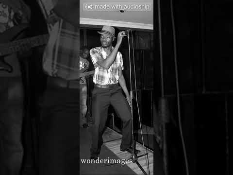 Fenny Dembo-Ndayeuka (Vana Vanemazita - Cover Leonard Dembo)