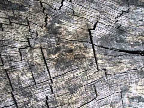 ExoMental Projection: Guided Meditation
