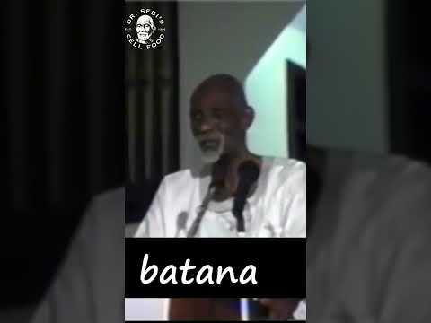 Dr. Sebi's Batana Oil is the most Powerful Natural Hair Nourisher