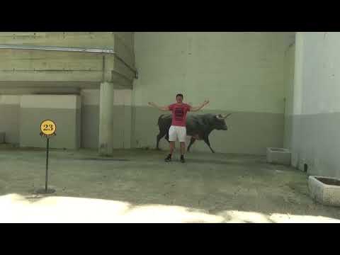 Piotr Sobolczyk - No Time To Hate