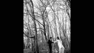 Birches-Robert Frost