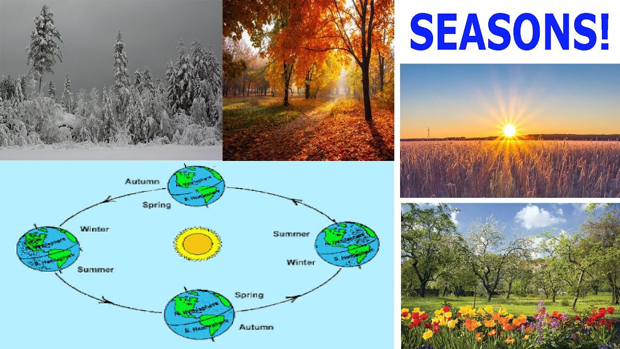 From Equinox to Solstice: Understanding the Whys of Seasonal Shifts