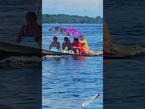 Barcelos-Am o Paraíso ecológico chamado de Mariuá🌱📡#BarcelosAM #Amazônia #CulturaAmazonense