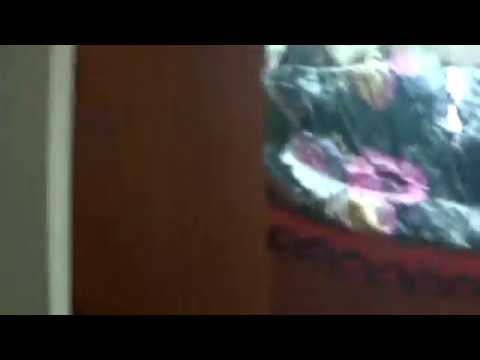 Știre ETV/04.04.2017 – VIOLENȚĂ SCĂPATĂ DE SUB CONTROL