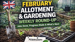 🎥 🌿 February Allotment & Gardening Weekly Round-Up | Jobs Done, Progress Made & What’s Next