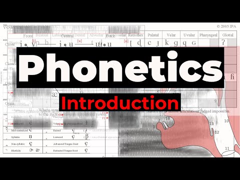 Introduction to Phonetics: Understanding the Basics