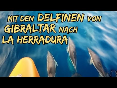 With the dolphins from Gibraltar to La Herradura - Long-distance sailing