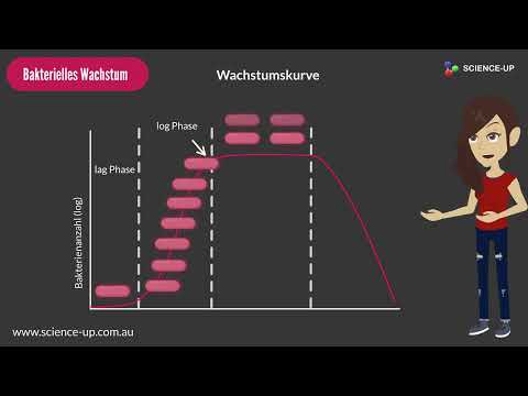 Bakterielles Wachstum