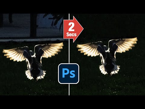 LENS BLUR in Lightroom how to get perfect results